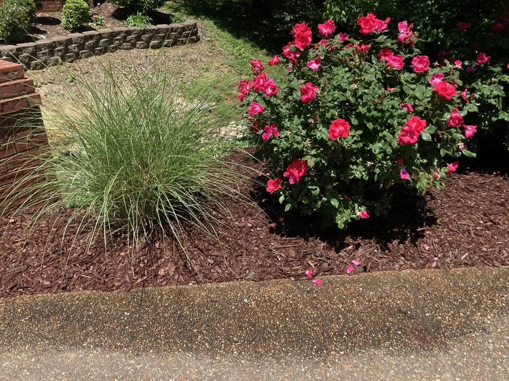 Top-rated lawn care service with custom design in Clarksville, TN by Omar & Sons Landscaping