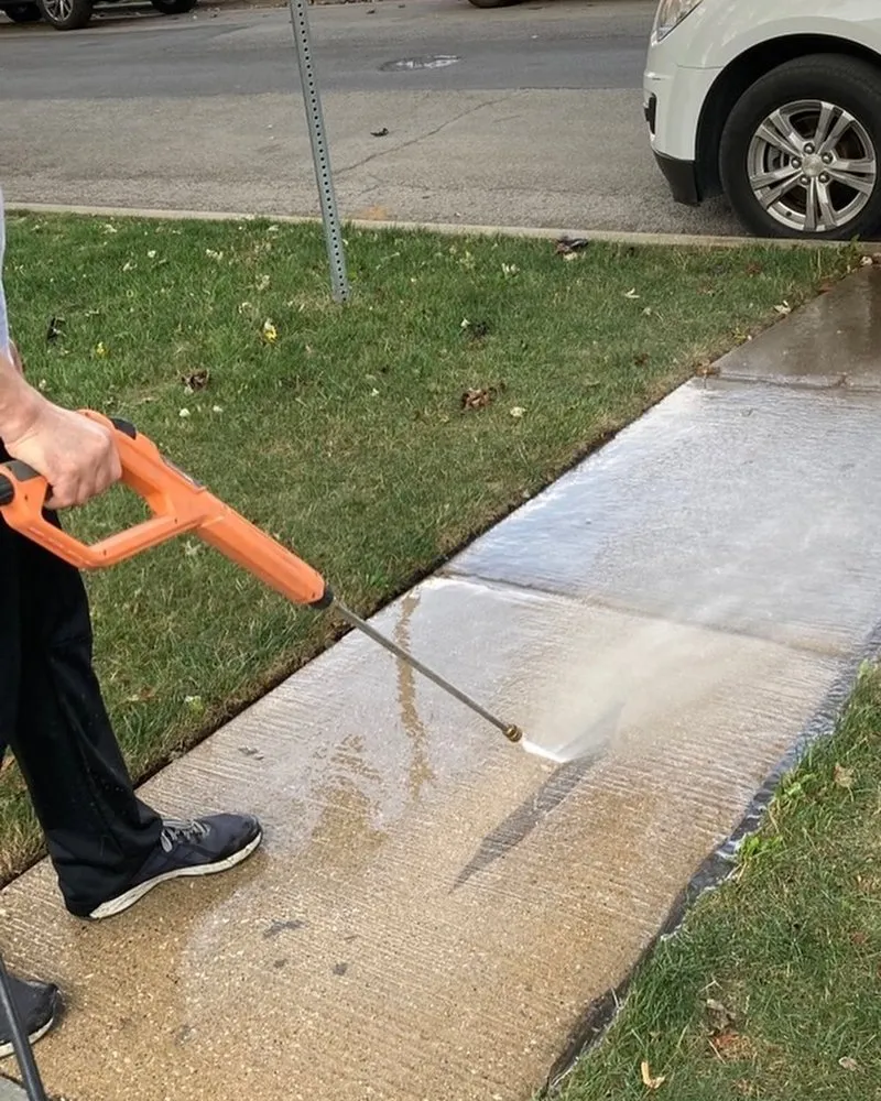 Professional yard cleanup service for residential properties across Berwyn, IL - Omar C Lawn