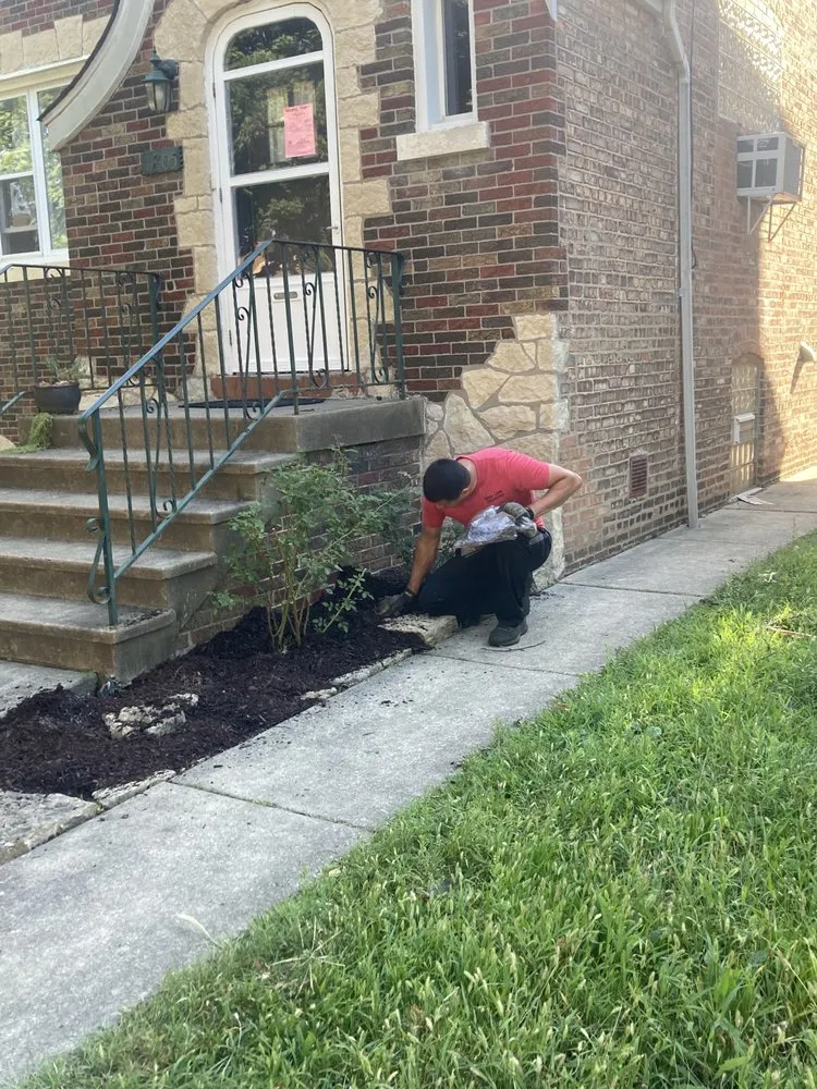 Top-rated residential landscaping for homes in Berwyn, IL by Omar C Lawn