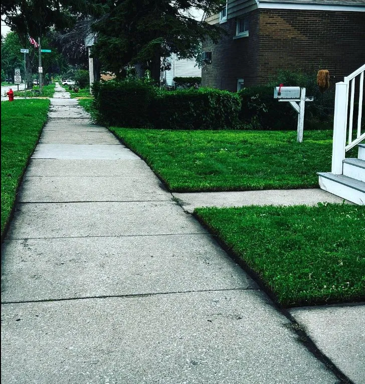 Local garden landscaping for year-round maintenance across Berwyn, IL - Omar C Lawn