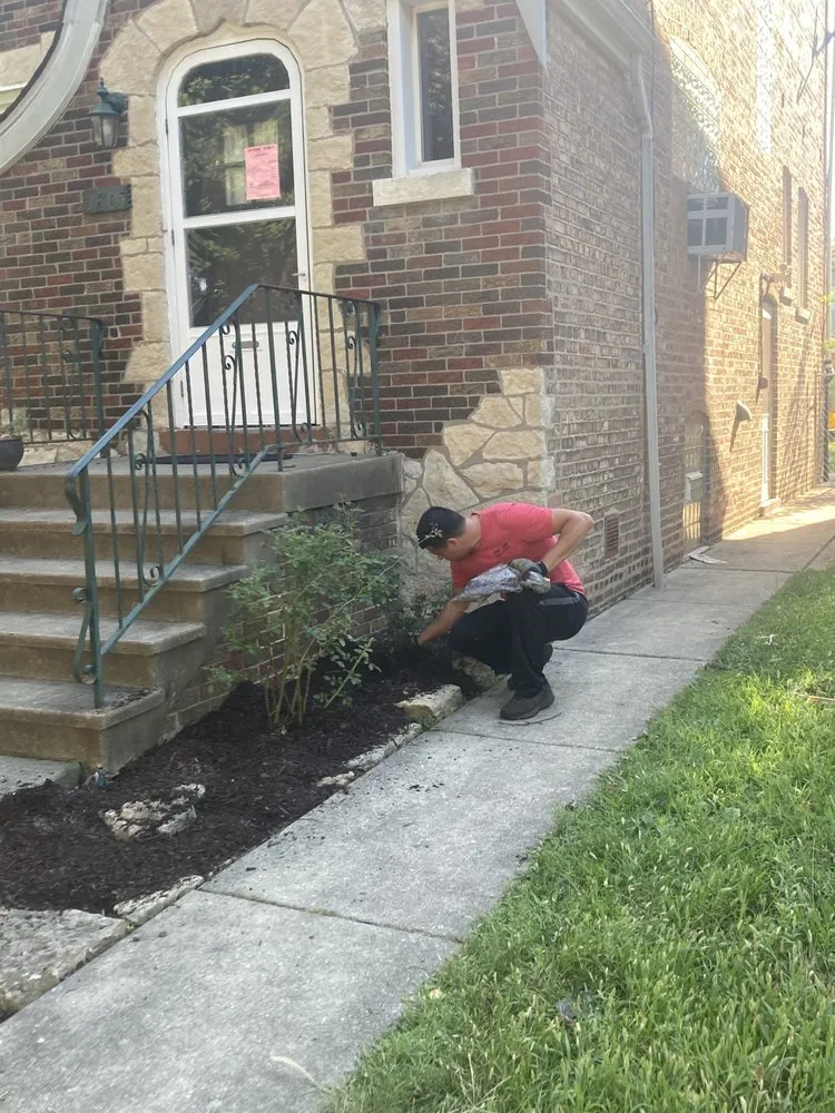 Professional landscaping services experts serving Berwyn, IL - Omar C Lawn