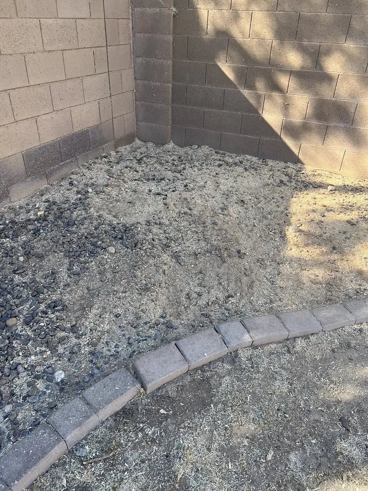 Top-rated landscape installation in Mesa, AZ by Omar Flores Landscaping