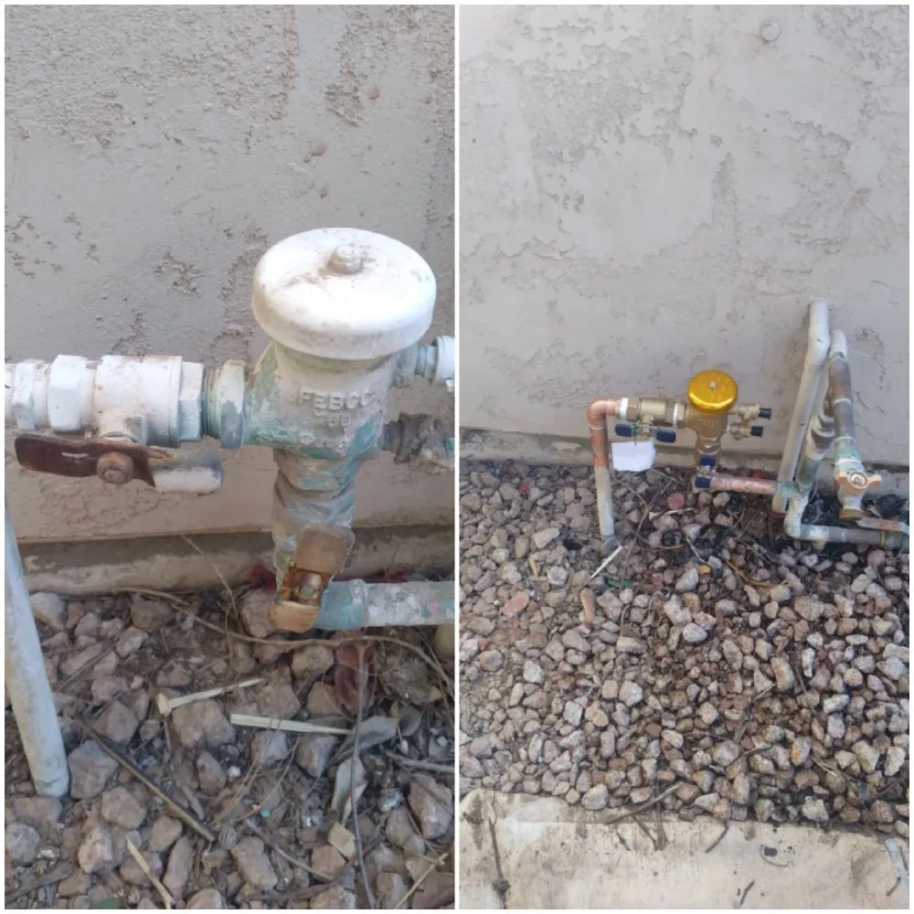 Local lawn care service in Mesa, AZ by Omar Flores Landscaping