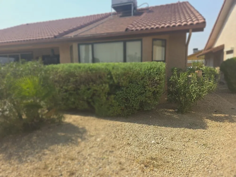 Custom garden landscaping near you in Surprise, AZ by Omar Landscape and Hardscape