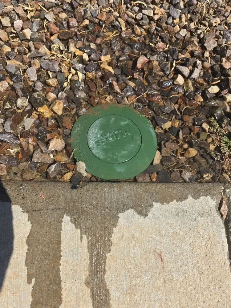 Affordable garden landscaping in Surprise, AZ - Omar Landscape and Hardscape