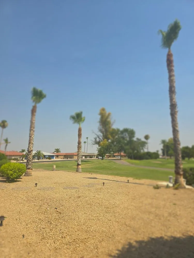 Expert lawn care service for beautiful yards across Surprise, AZ - Omar Landscape and Hardscape