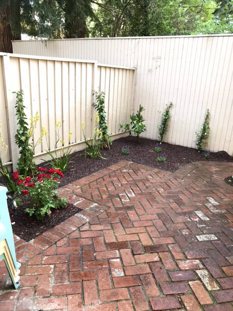 Affordable lawn mowing service with custom design in San Jose, CA by Omar Landscape Design