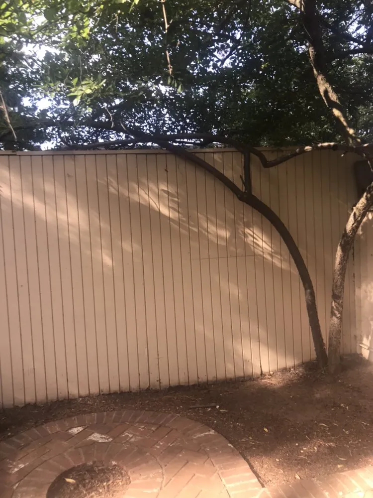 Trusted landscape design in San Jose, CA - Omar Landscape Design