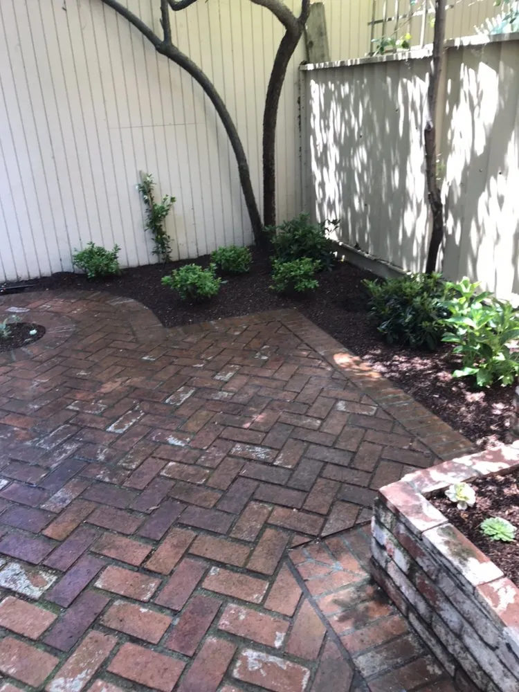 Top-rated lawn mowing service in San Jose, CA by Omar Landscape Design