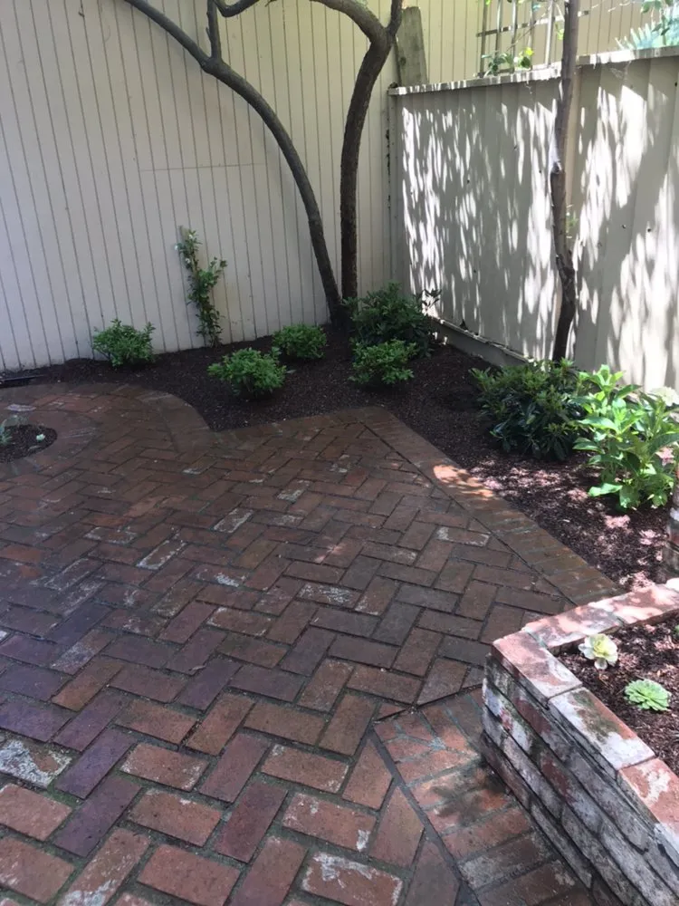 Professional landscaping services with custom design in San Jose, CA by Omar Landscape Design