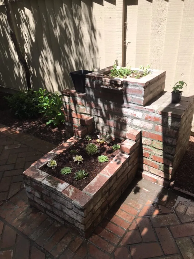 Local lawn mowing service in San Jose, CA - Omar Landscape Design