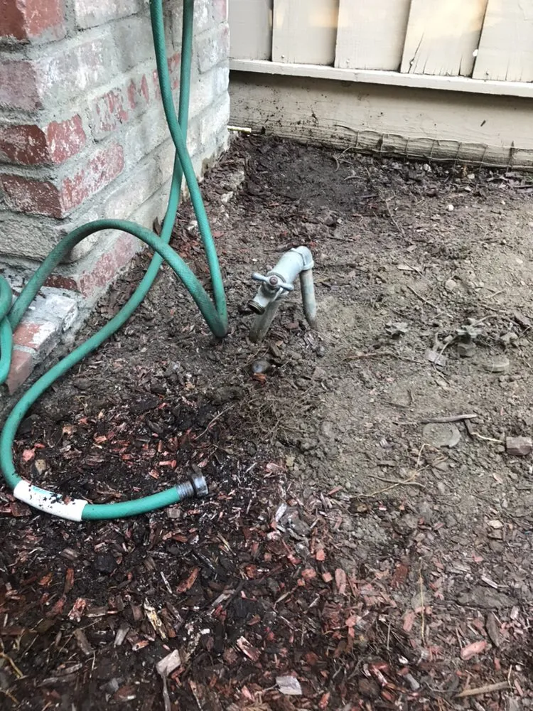 Expert yard maintenance near you in San Jose, CA by Omar Landscape Design