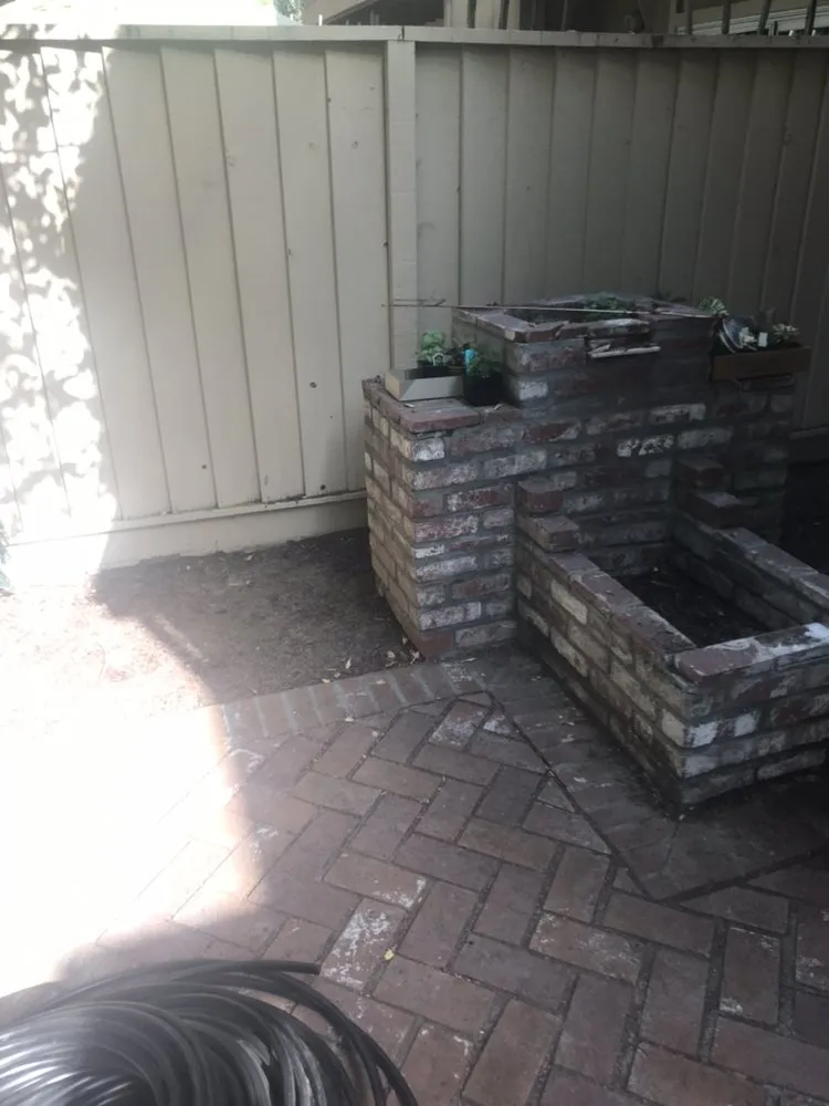 Trusted yard cleanup service experts serving San Jose, CA - Omar Landscape Design