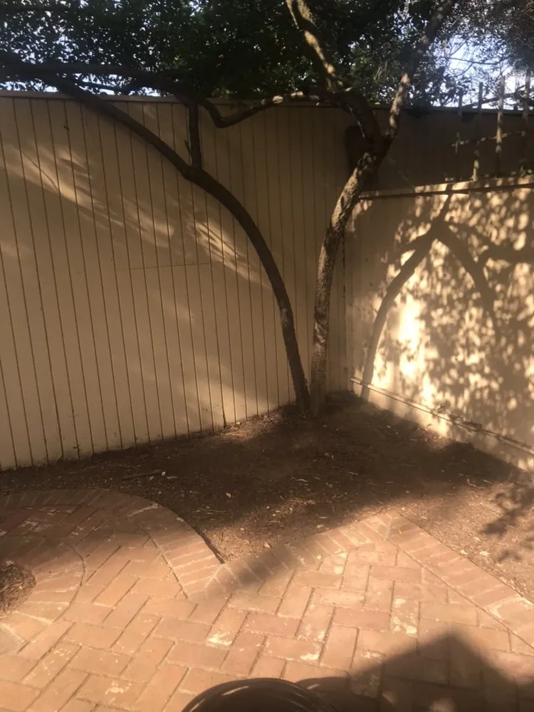 Professional outdoor landscaping in San Jose, CA by Omar Landscape Design