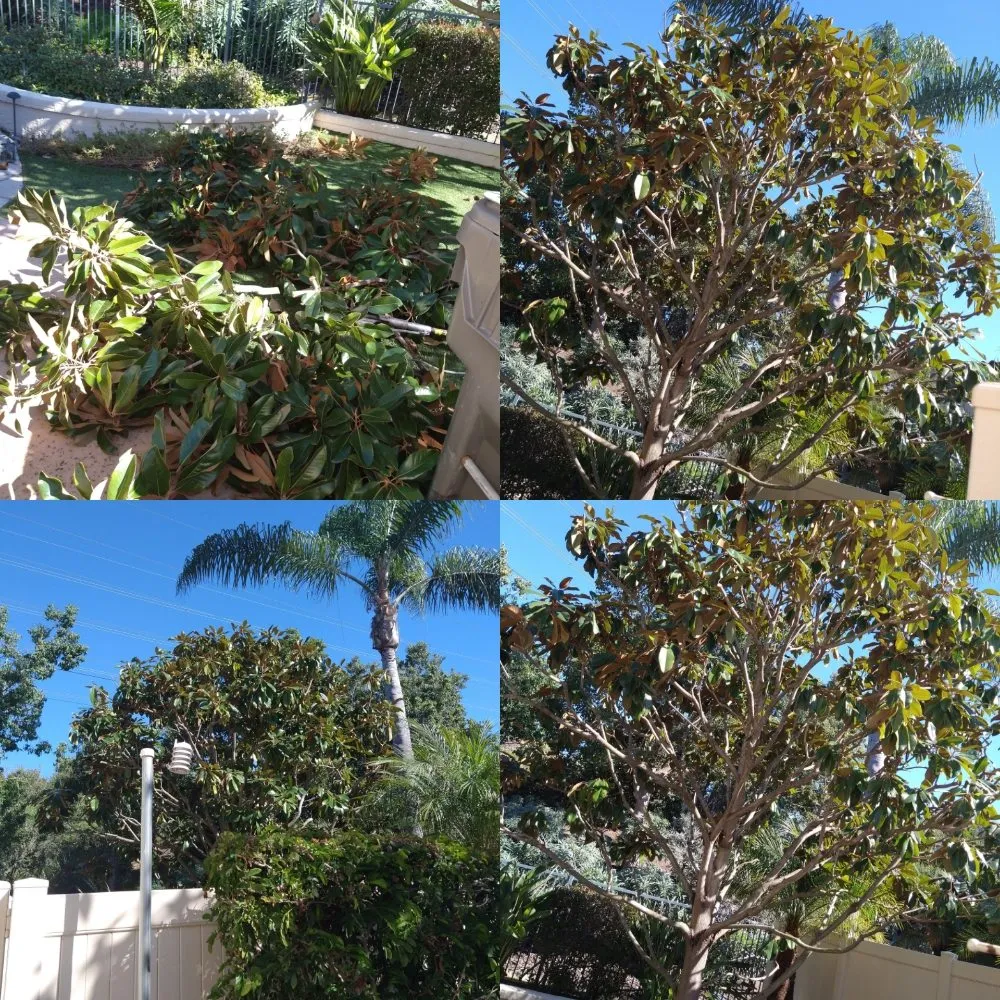 Top-rated lawn mowing service for beautiful yards across San Marcos, CA - Omar Landscaping & Maintenance