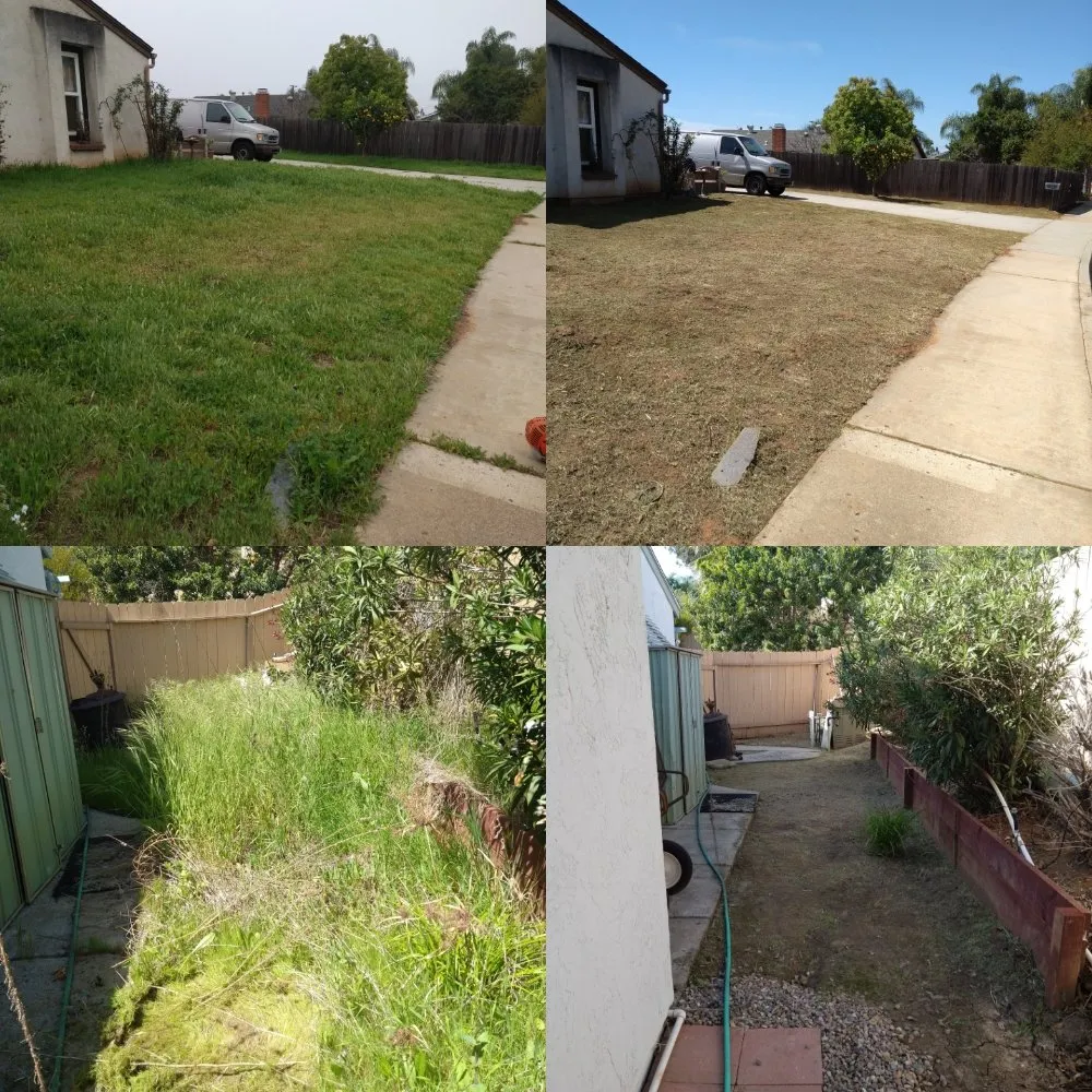 Custom lawn care service for beautiful yards in San Marcos, CA by Omar Landscaping & Maintenance