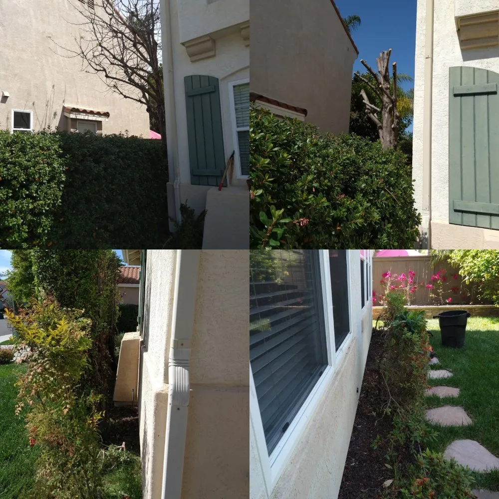 Expert lawn mowing service with custom design in San Marcos, CA by Omar Landscaping & Maintenance