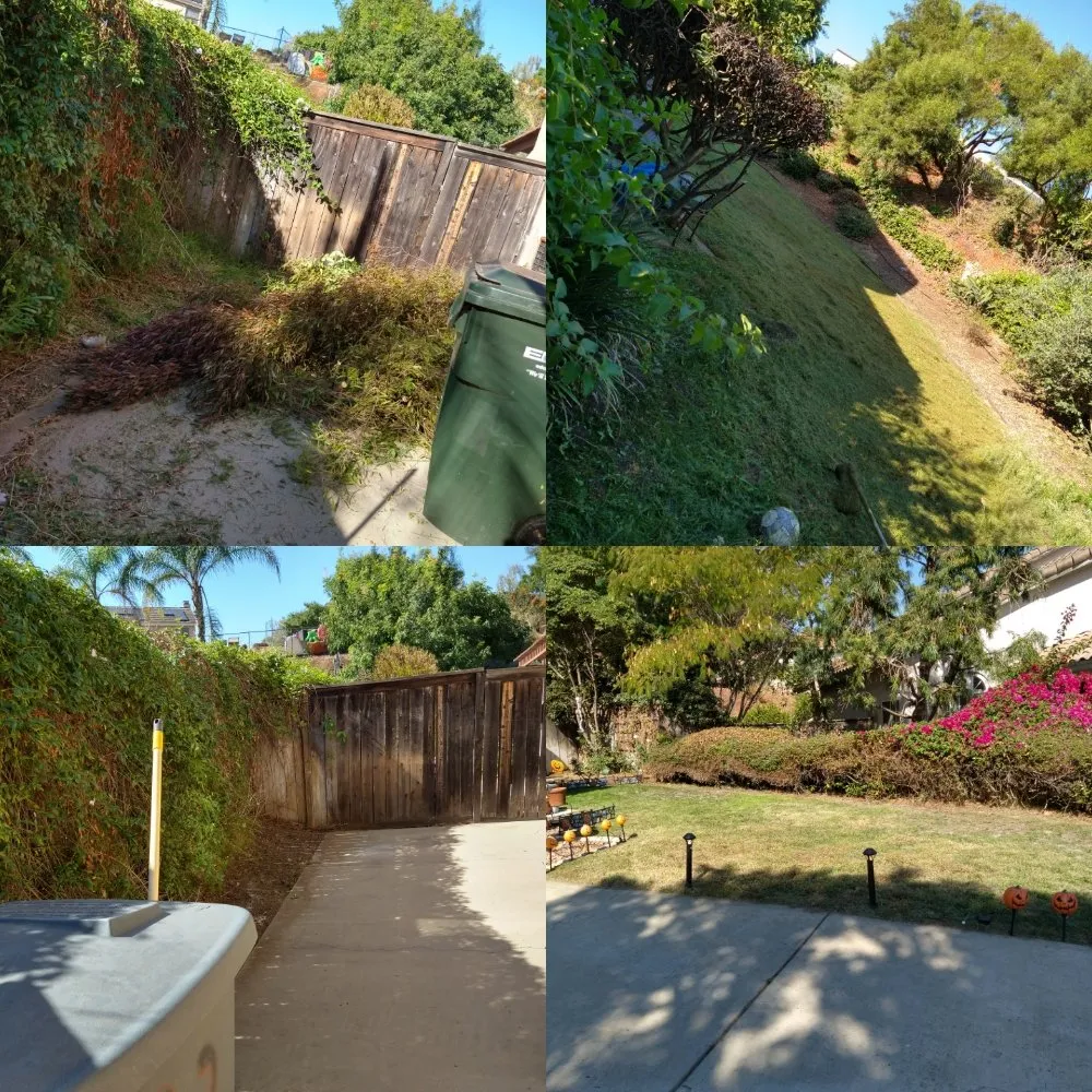 Custom yard cleanup service experts serving San Marcos, CA - Omar Landscaping & Maintenance