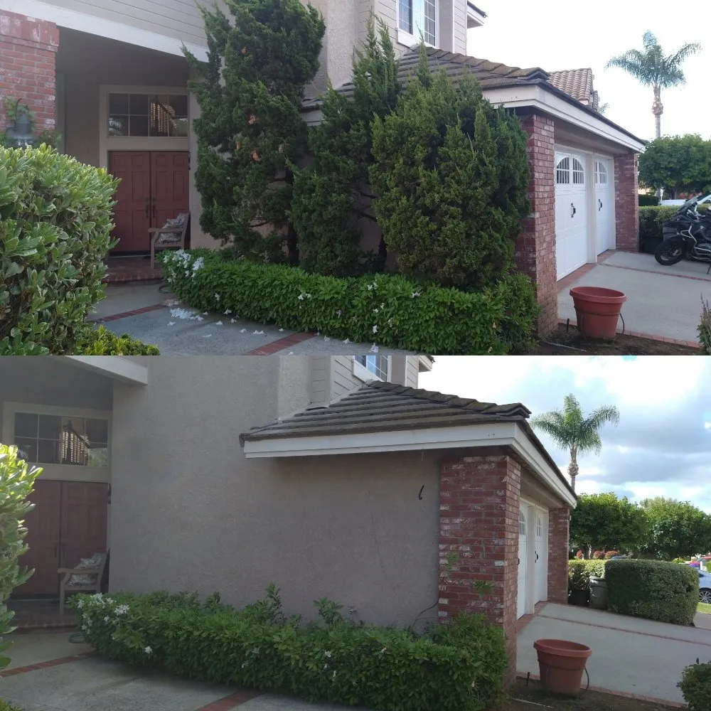 Top-rated garden landscaping in San Marcos, CA - Omar Landscaping & Maintenance