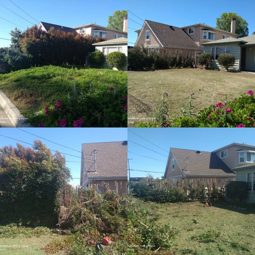 Reliable yard cleanup service in San Marcos, CA by Omar Landscaping & Maintenance