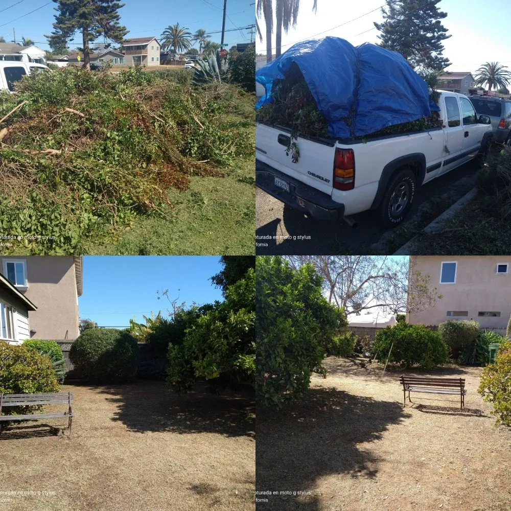 Custom lawn mowing service experts serving San Marcos, CA - Omar Landscaping & Maintenance