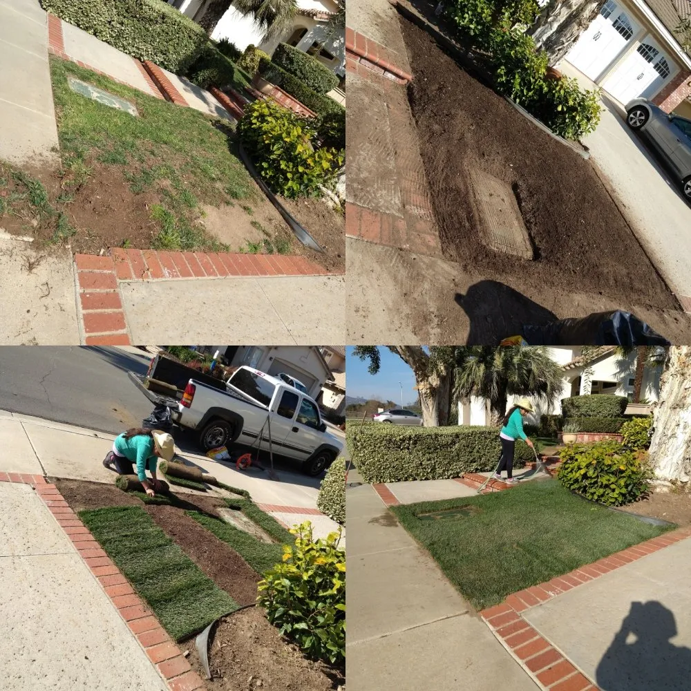 Top-rated yard maintenance in San Marcos, CA by Omar Landscaping & Maintenance