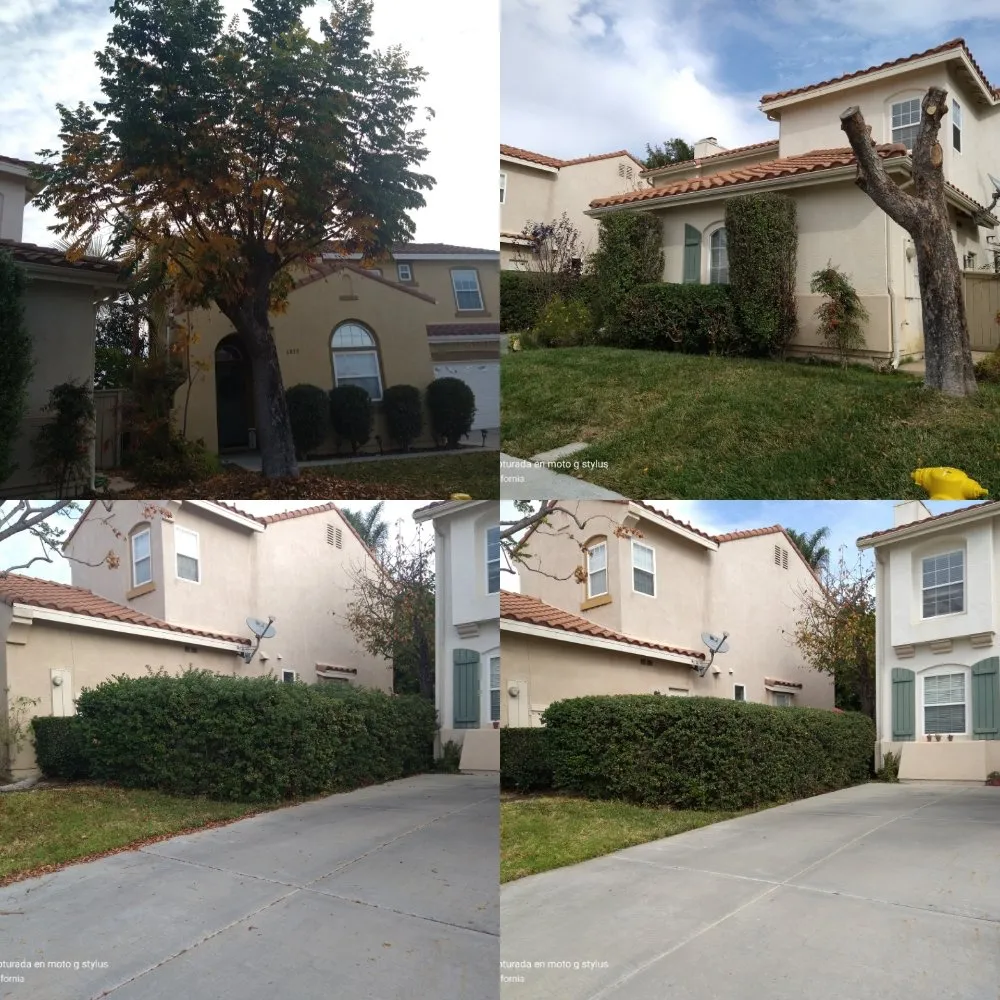 Top-rated landscape installation near you in San Marcos, CA by Omar Landscaping & Maintenance