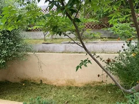 Affordable residential landscaping for residential properties in San Marcos, CA by Omar Landscaping & Maintenance