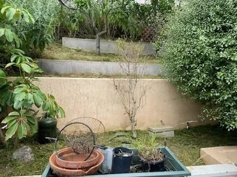 Top-rated landscape installation in San Marcos, CA by Omar Landscaping & Maintenance