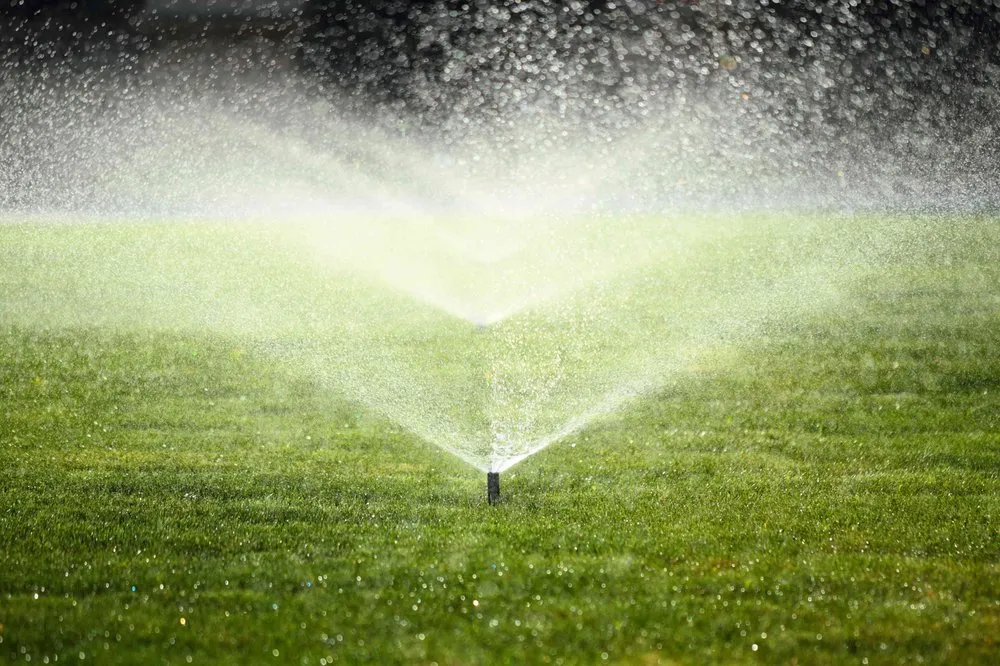 Top-rated garden landscaping for outdoor upgrades in Las Vegas, NV by Omar Landscaping