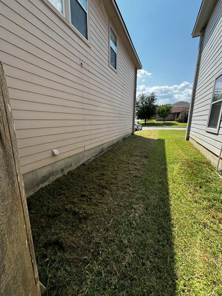 Reliable landscaping services in San Antonio, TX by Omar Landscaping