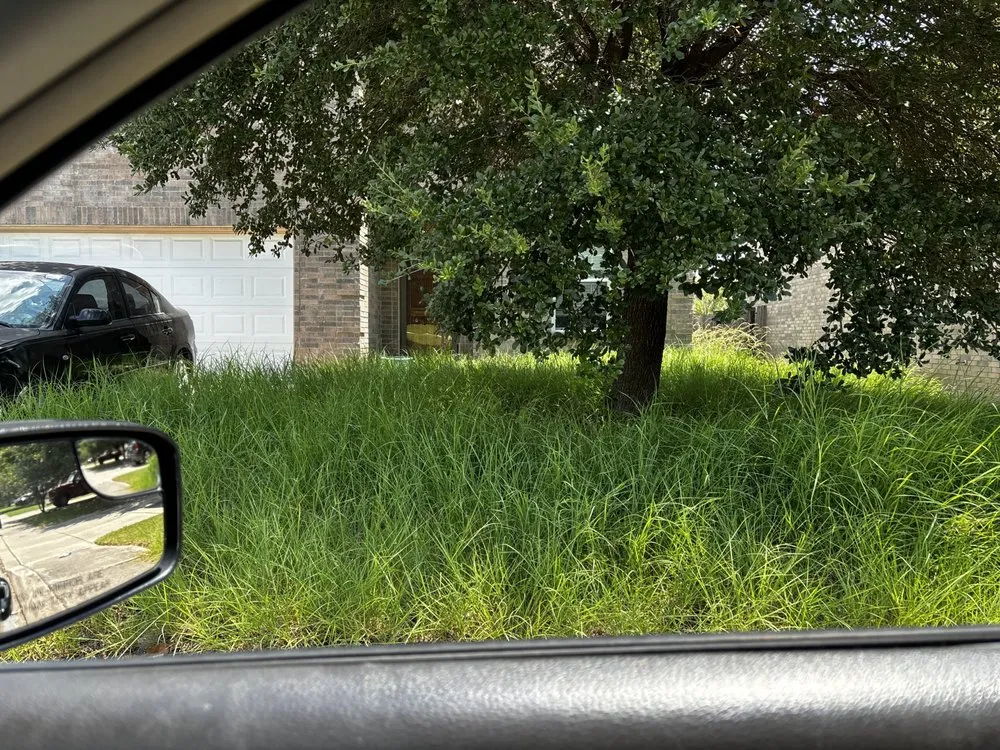 Top-rated lawn care service for year-round maintenance in San Antonio, TX by Omar Landscaping