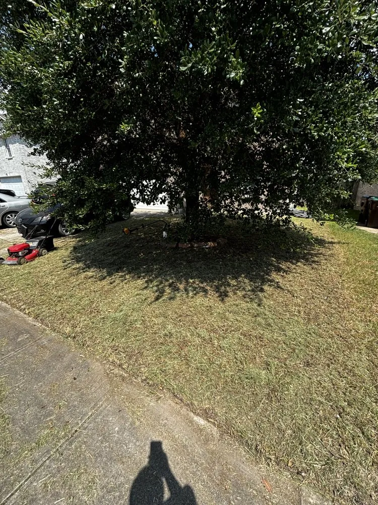 Reliable garden landscaping experts serving San Antonio, TX - Omar Landscaping