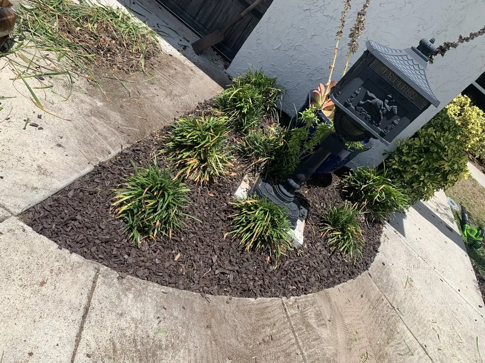 Custom yard maintenance for homes in Riverview, FL by Omar Landscaping Service