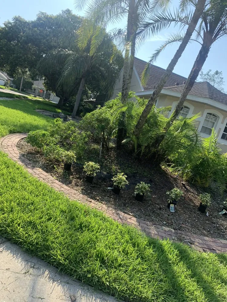 Top-rated landscape design for homes across Riverview, FL - Omar Landscaping Service