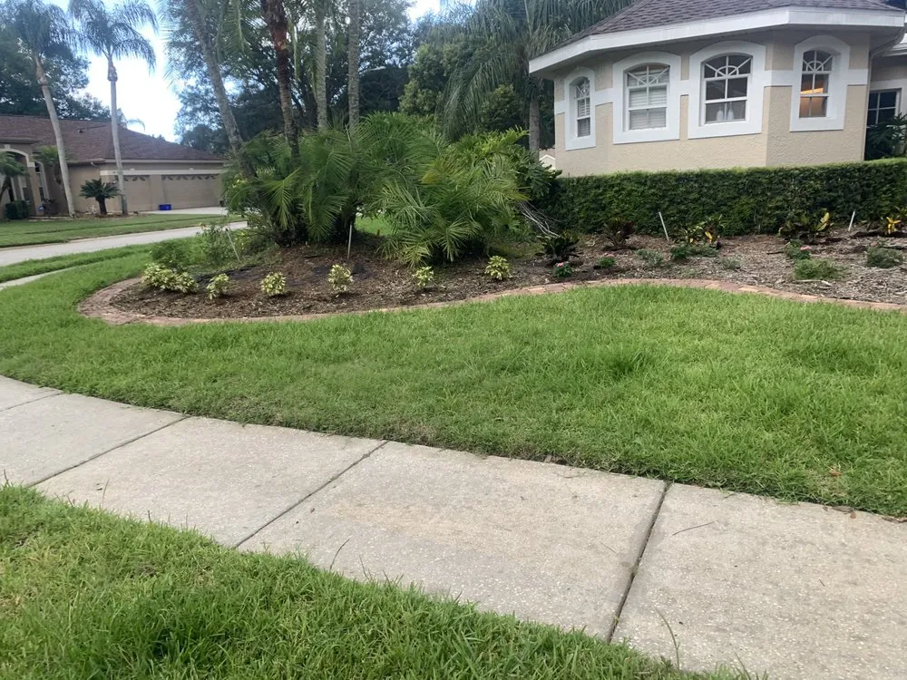 Trusted lawn care service in Riverview, FL - Omar Landscaping Service