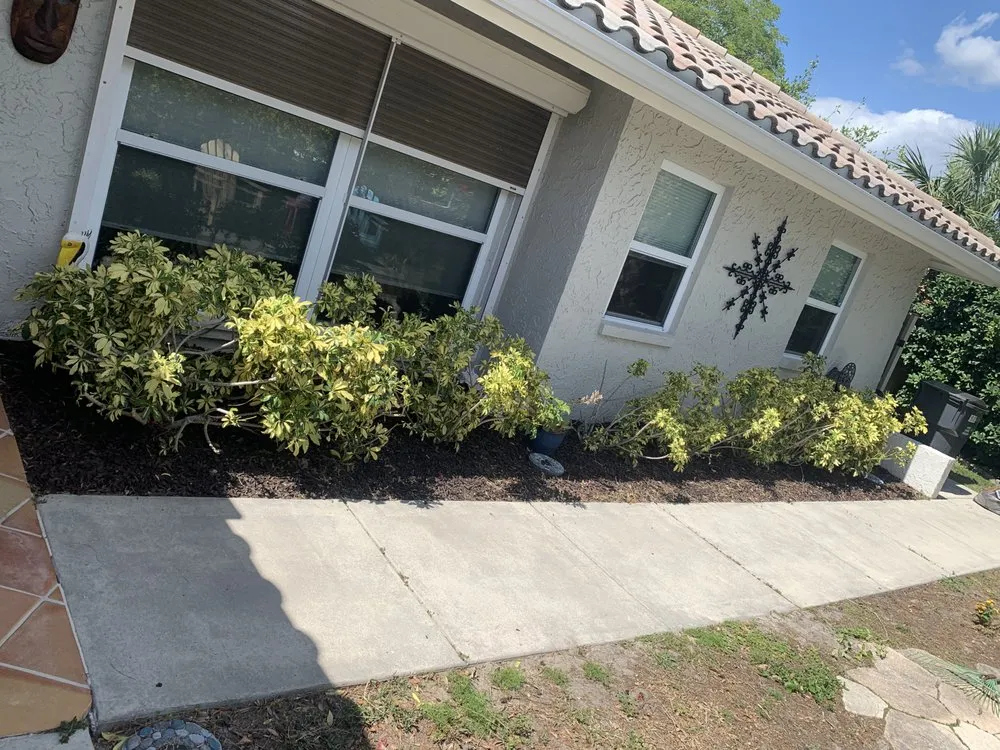 Expert yard maintenance in Riverview, FL - Omar Landscaping Service