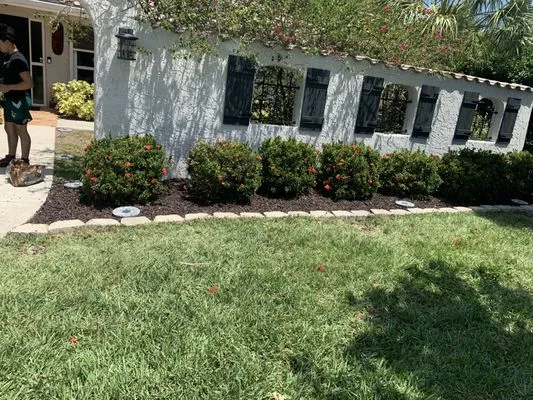 Omar Landscaping Service Logo