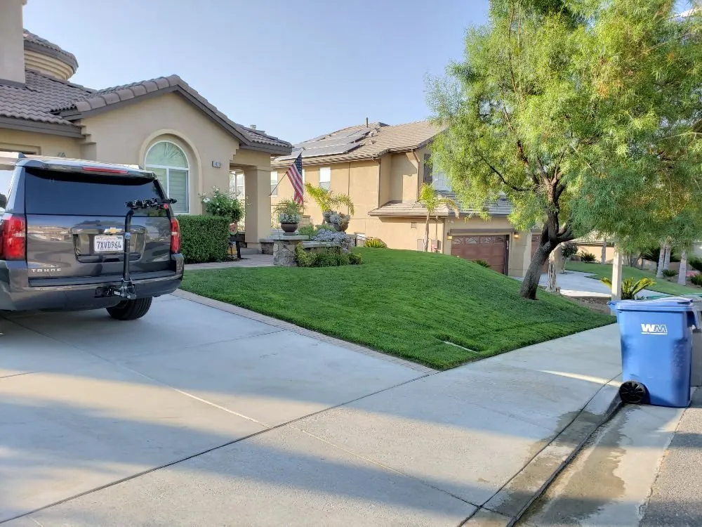 Reliable yard cleanup service for residential properties across Santa Clarita, CA - Omar Landscaping Service