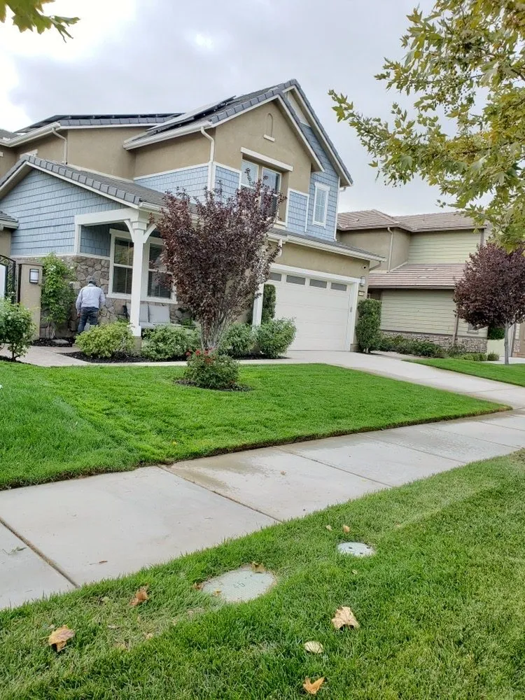 Reliable landscape installation for outdoor upgrades in Santa Clarita, CA by Omar Landscaping Service