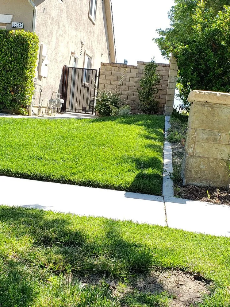 Custom yard maintenance for residential properties across Santa Clarita, CA - Omar Landscaping Service