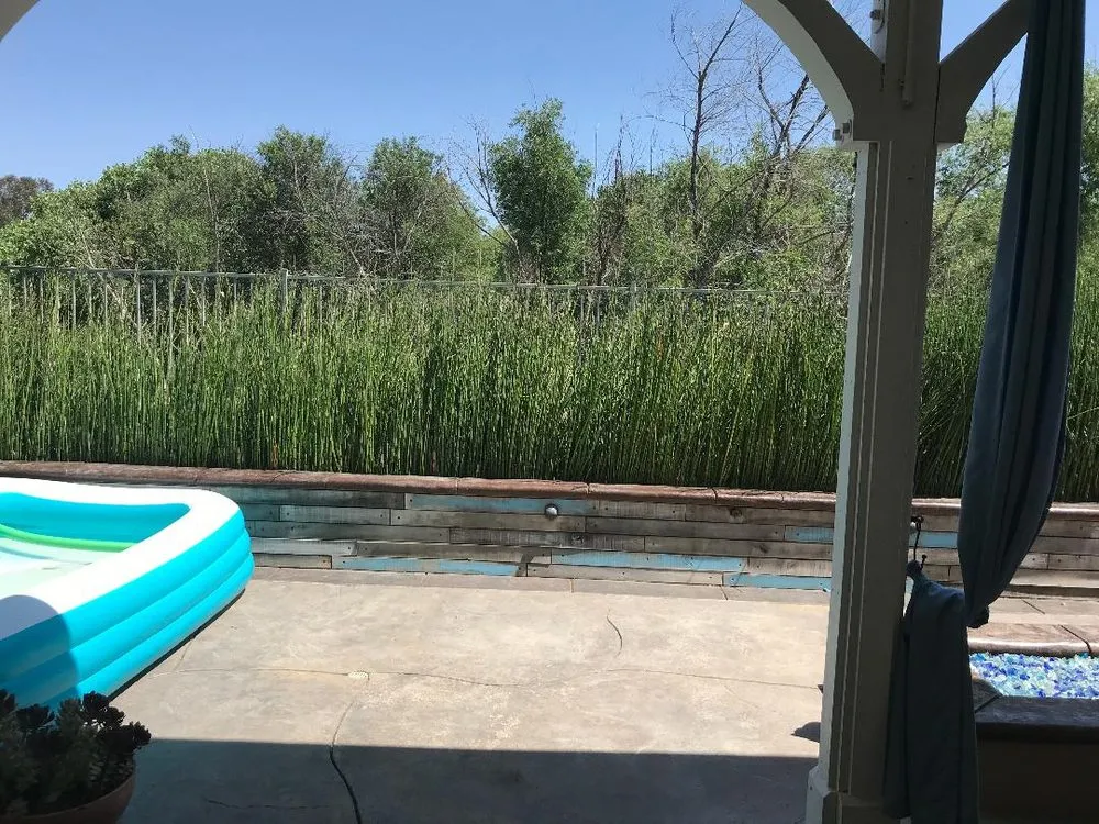 Expert landscape design for homes across Santa Clarita, CA - Omar Landscaping Service