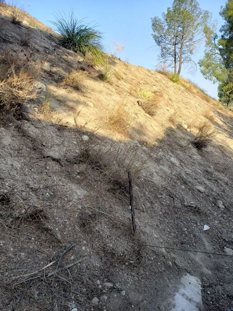 Affordable landscape design in Santa Clarita, CA by Omar Landscaping Service