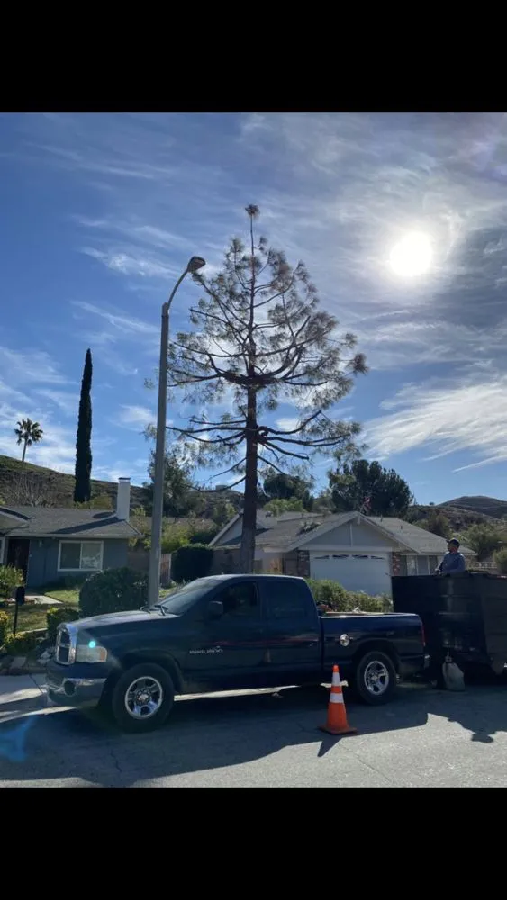 Professional landscape installation experts serving Santa Clarita, CA - Omar Landscaping Service