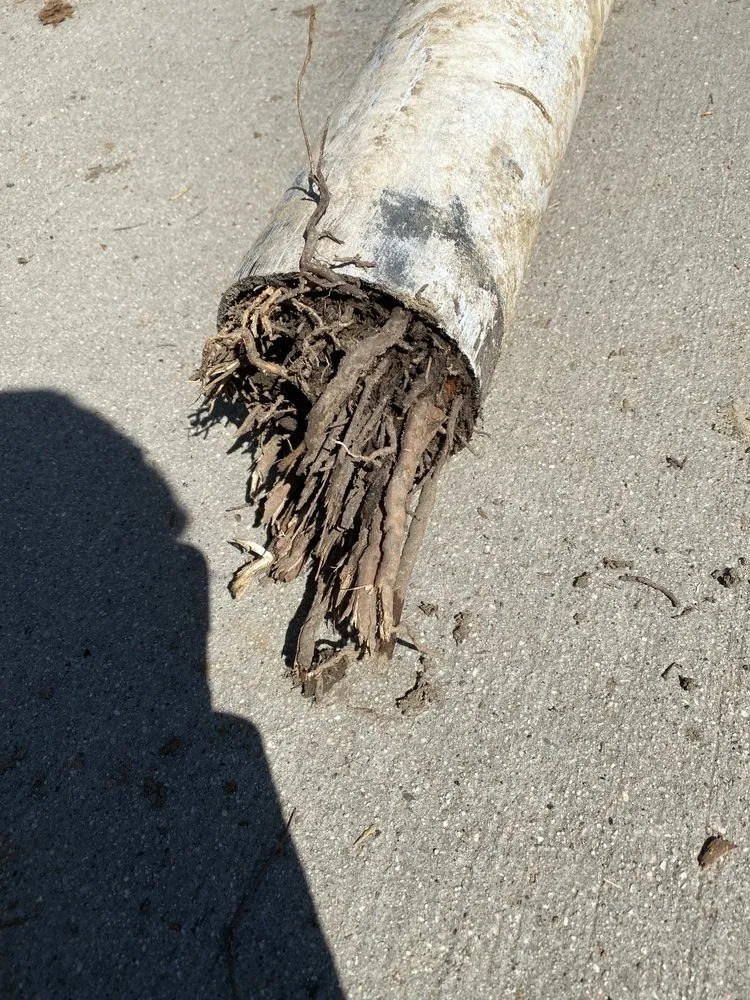 Local lawn mowing service in Santa Clarita, CA by Omar Landscaping Service