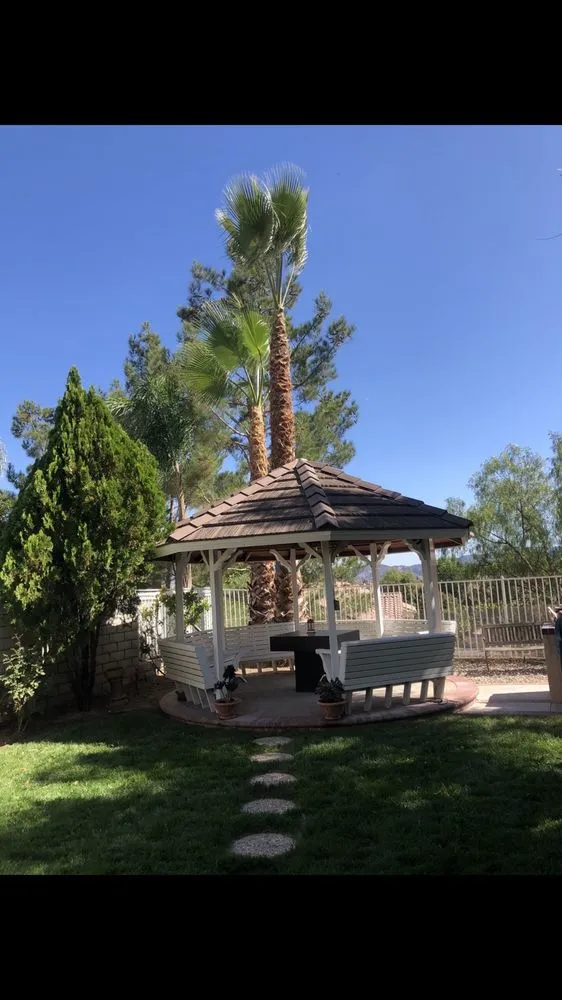 Professional yard cleanup service in Santa Clarita, CA by Omar Landscaping Service