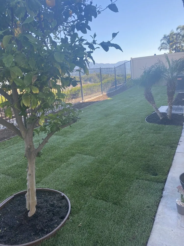 Top-rated yard cleanup service in Santa Clarita, CA - Omar Landscaping Service