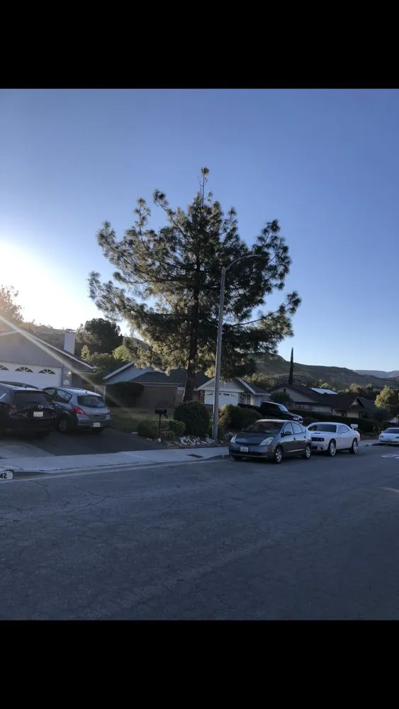 Trusted outdoor landscaping experts serving Santa Clarita, CA - Omar Landscaping Service