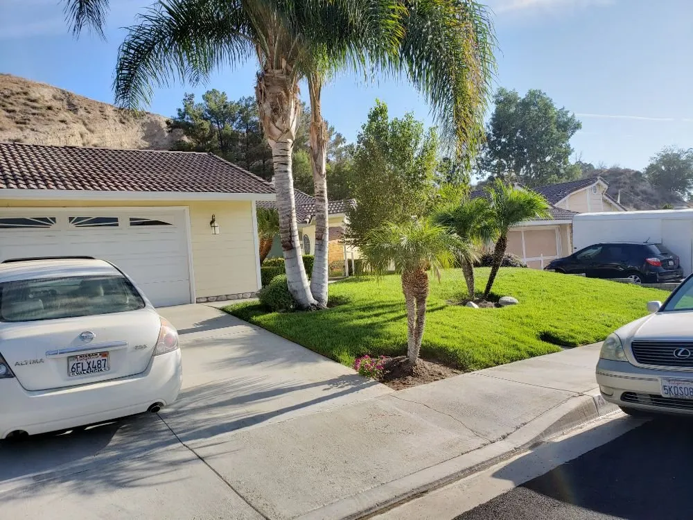 Expert garden landscaping in Santa Clarita, CA - Omar Landscaping Service