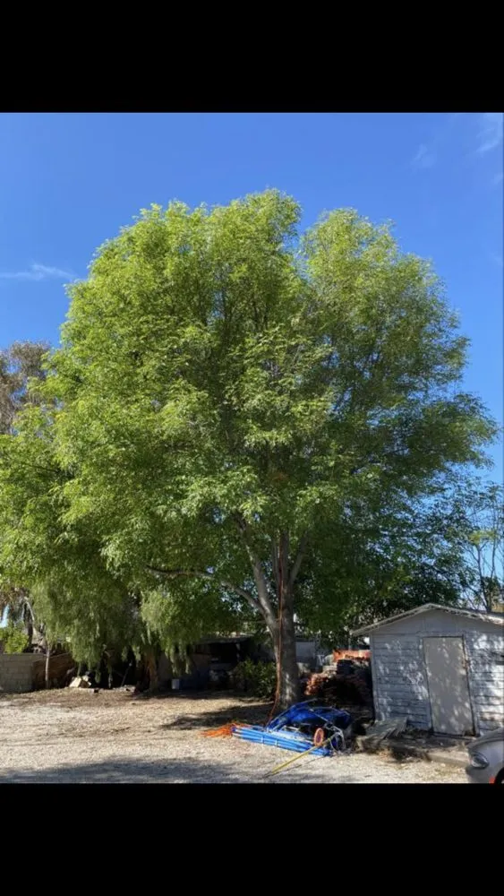 Local outdoor landscaping in Santa Clarita, CA by Omar Landscaping Service